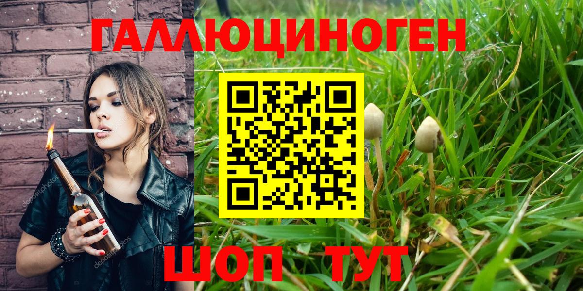 Галлюциногенные грибы Cubensis Киселёвск